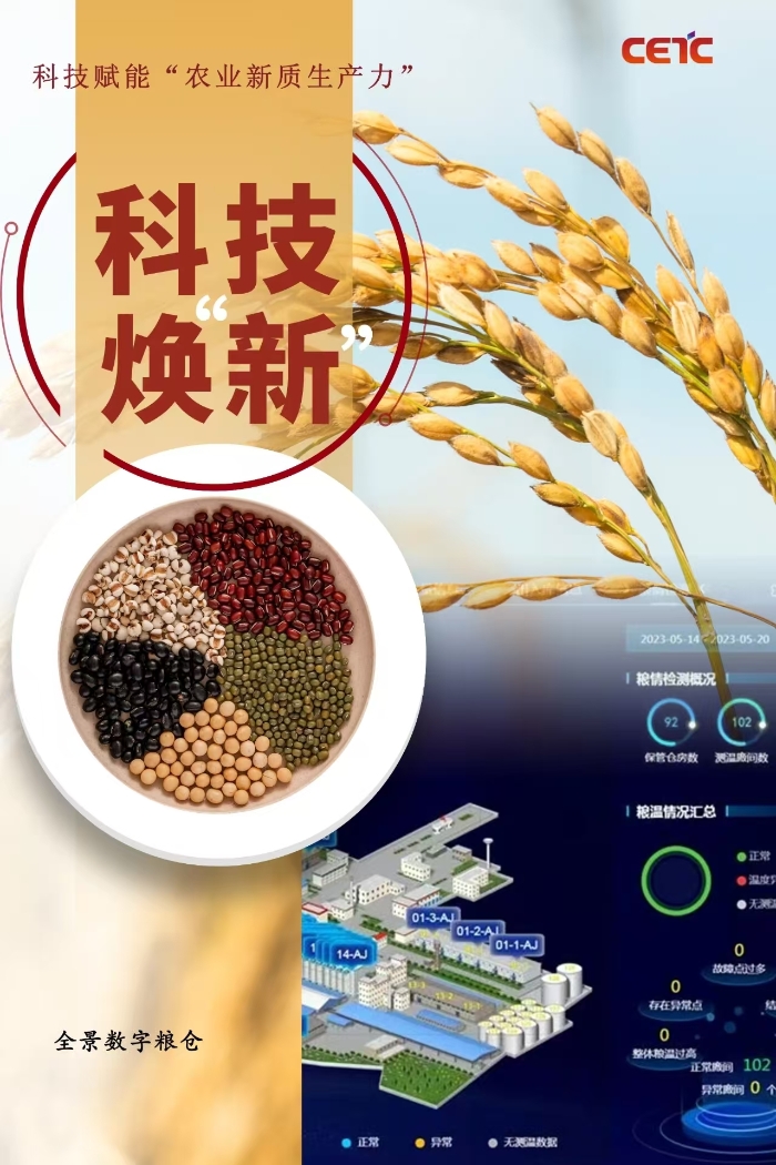粮食5